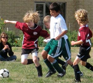 A bunch of boys play soccer together.